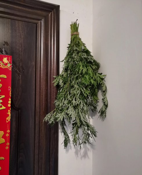 端午节挂艾草的由来