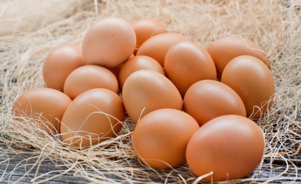 鸡蛋里面有黑褐色东西是什么图片