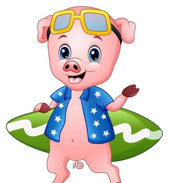 生肖猪的性格优点缺点