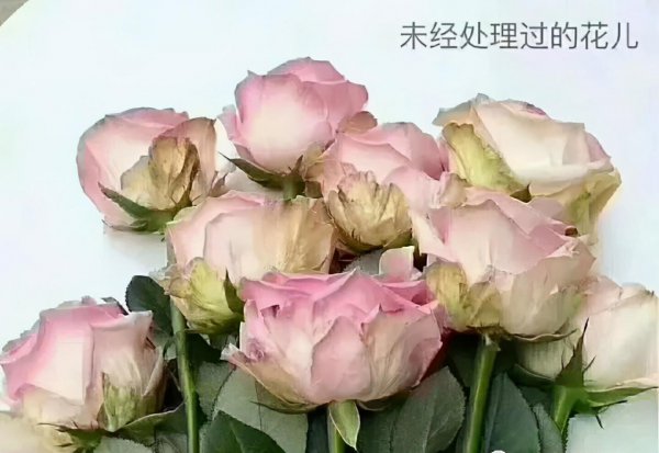 网上买的鲜花要醒花多久时间