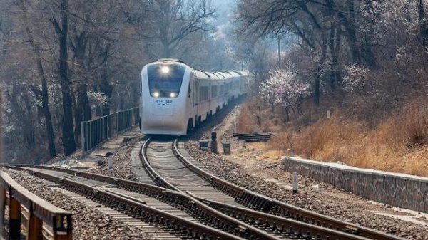 c字开头的是动车还是高铁