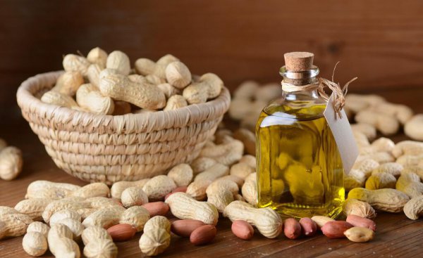 食用油转基因和非转基因的油哪个更好