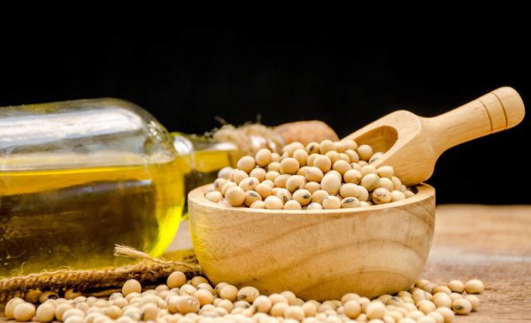 食用油转基因和非转基因的油哪个更好