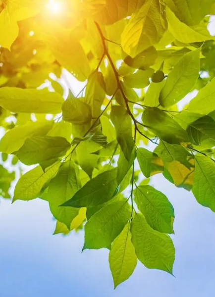 中国4大火炉是哪四个城市