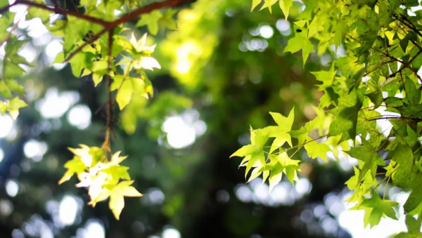 中国4大火炉是哪四个城市