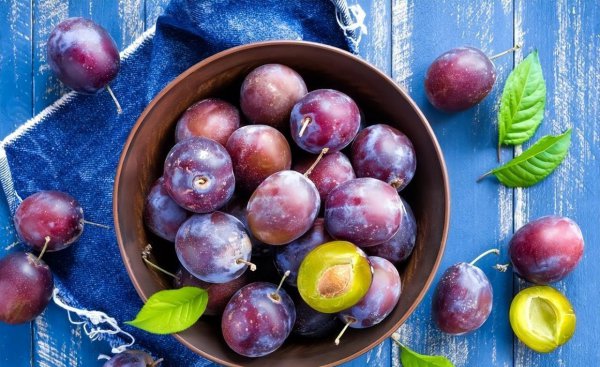 李子和西梅是一种水果吗