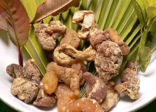 玉竹和黄精的区别