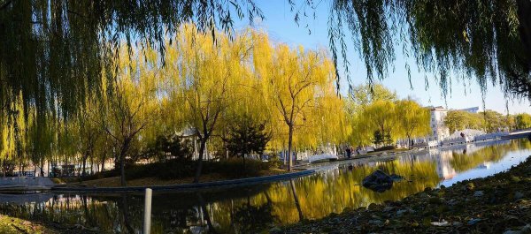 河北经贸大学在石家庄哪个区