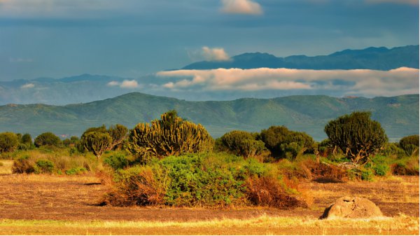 乌干达人口和面积