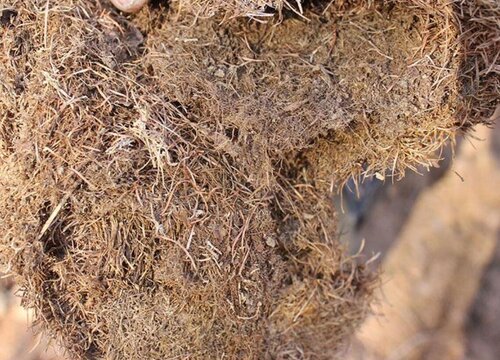 家庭养花如何自制花土