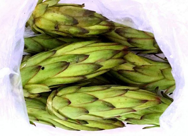 火龙果花与霸王花区别图片