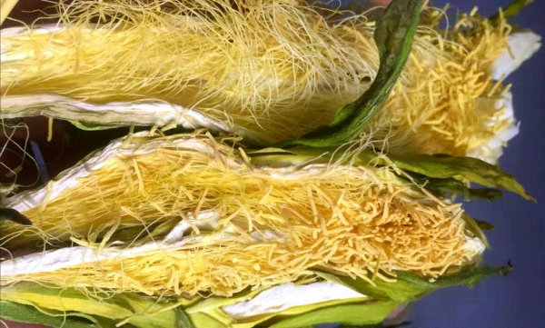 火龙果花与霸王花区别图片