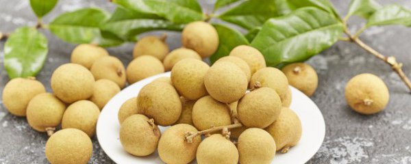 龙眼配什么炖汤好