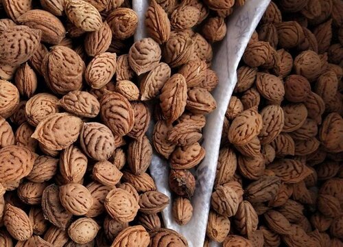 桃子象征着什么意义