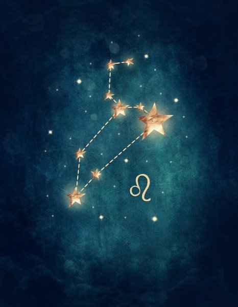 月亮狮子座女生的性格