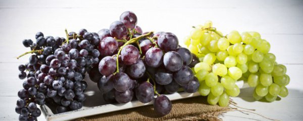 来月经可以吃葡萄吗