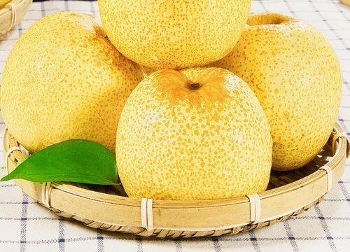 下火的水果有哪些