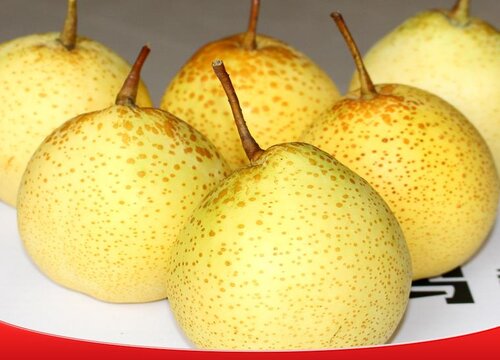 下火的水果有哪些