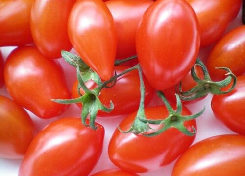 圣女果最佳保存方法