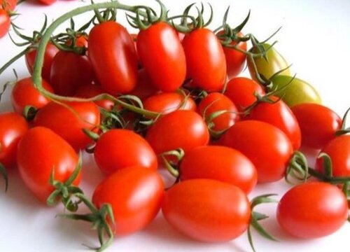 圣女果最佳保存方法