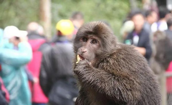 峨眉山在哪个省份