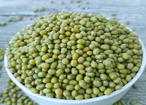 如何用绿豆养护君子兰年年开花