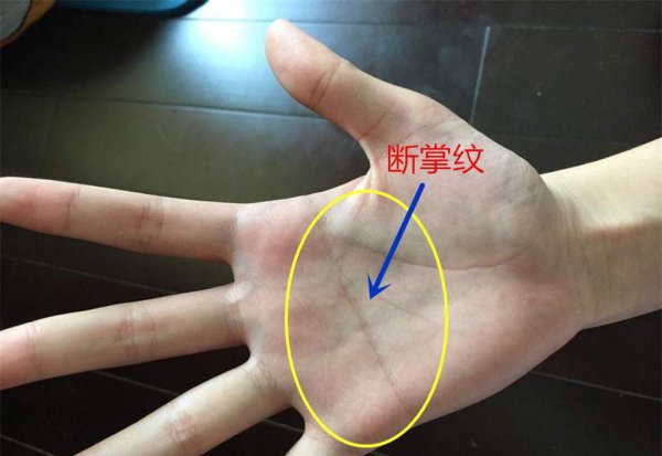 女人断掌有什么说法吗