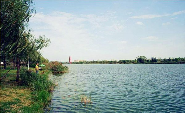 郓城属于山东哪个地区的