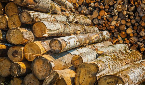 燃烧三要素是指什么