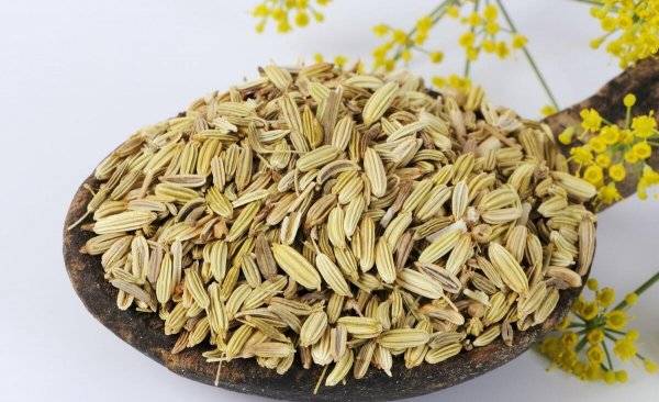 孜然和茴香是一样的东西吗