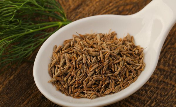 孜然和茴香是一样的东西吗