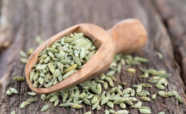 孜然和茴香是一样的东西吗