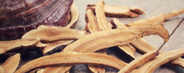 过夜的灵芝水可以吃吗