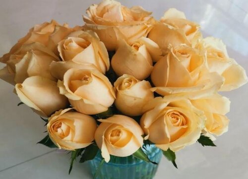 橙色玫瑰不能随便送人