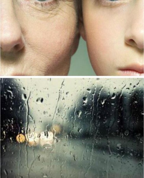 多吃什么能补钙