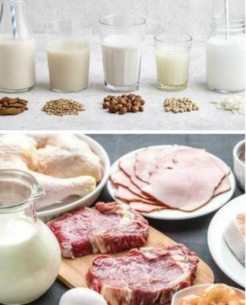 多吃什么能补钙