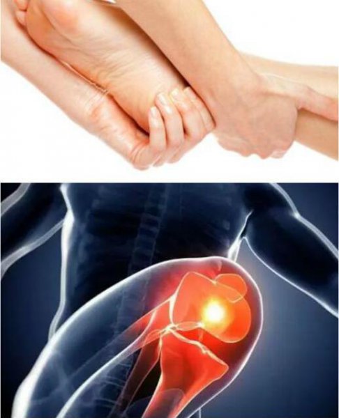 多吃什么能补钙