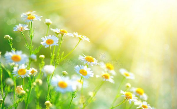 洗衣服放盐起什么作用