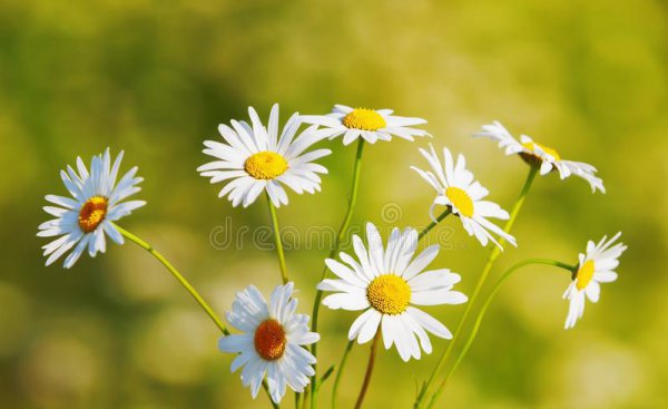 洗衣服放盐起什么作用