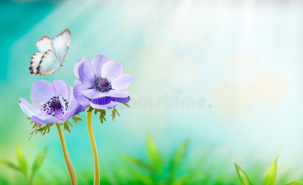 洗衣服放盐起什么作用