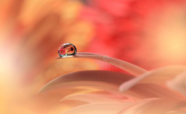 洗衣服放盐起什么作用