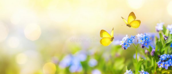 洗衣服放盐起什么作用