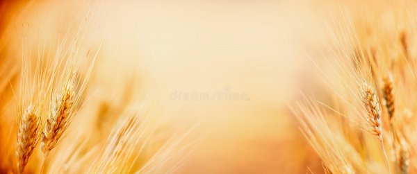 洗衣服放盐起什么作用