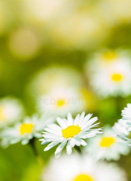 洗衣服放盐起什么作用