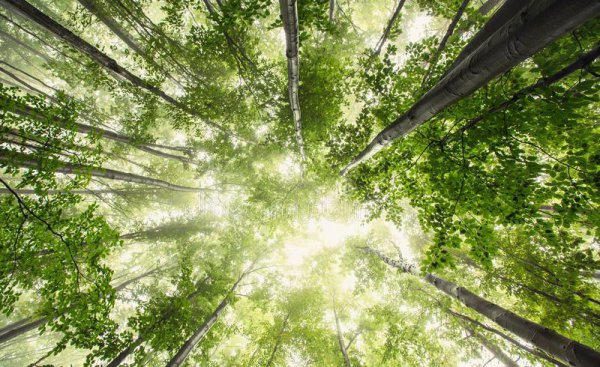 洗衣服放盐起什么作用