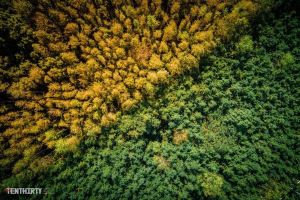 武汉附近有什么好玩的景点