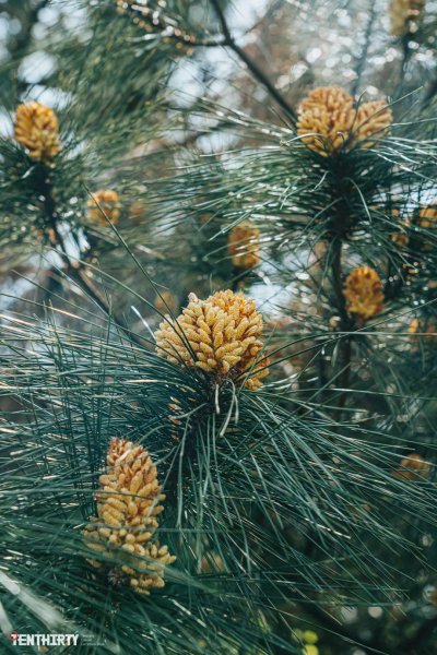 武汉附近有什么好玩的景点