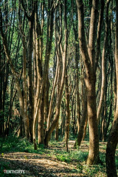 武汉附近有什么好玩的景点