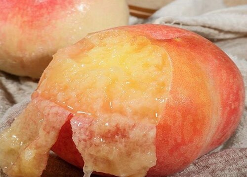 水蜜桃是热带水果吗