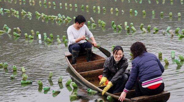 养殖珍珠的形成过程